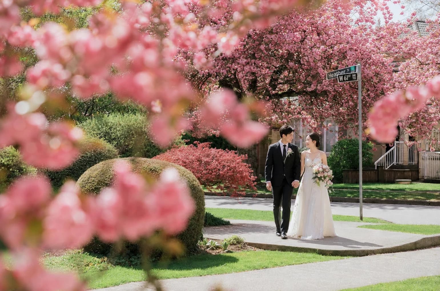 Couple walking a Vancouver street under pink cherry blossom